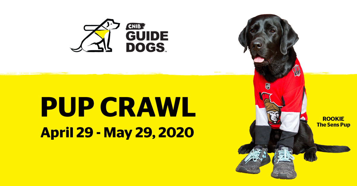 Virtual 5 km ‘Pup Crawl’ to raise funds for CNIB Guide Dogs CNIB